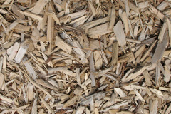 biomass boilers Nanquidno